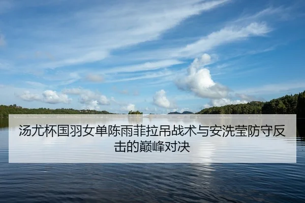汤尤杯国羽女单陈雨菲拉吊战术与安洗莹防守反击的巅峰对决