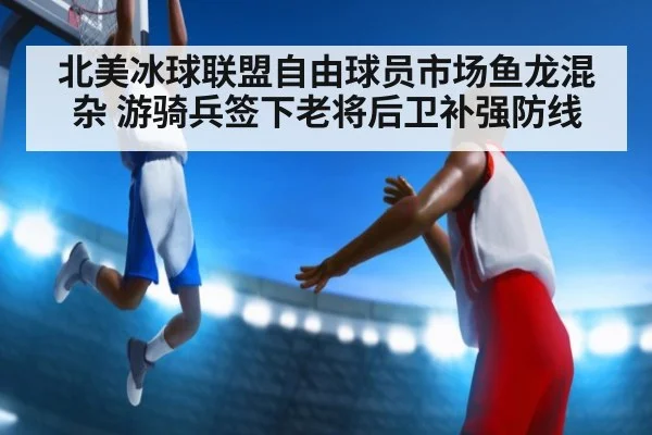 北美冰球联盟自由球员市场鱼龙混杂 游骑兵签下老将后卫补强防线